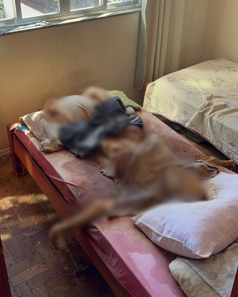 Irmãos presos por esconder corpo do pai