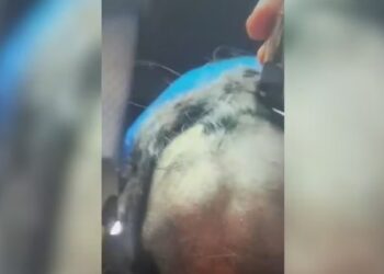 Homem raspa cabelo da ex e divulga vídeo