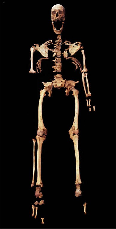 Restos do homem de Nuwayrat