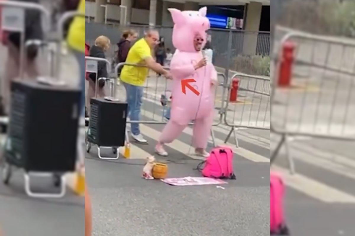 Porquinho da Paulista é atacado com garfo durante manifestação bolsonarista