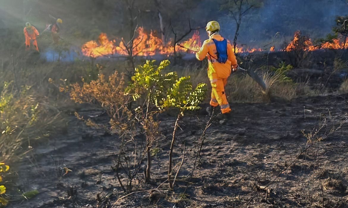 Minas Gerais decreta emergência por incêndios florestais