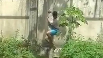 Jovem que morreu ao entrar em jaula sonhava em se tornar domador de leões