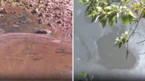 Descarte de óleo no Rio das Velhas
