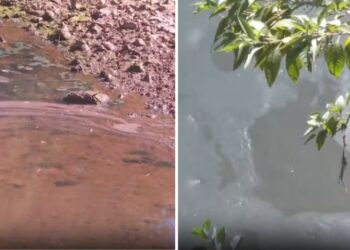 Descarte de óleo no Rio das Velhas