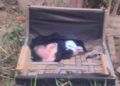 Recém-nascido é encontrado abandonado em lote vago de Sabará
