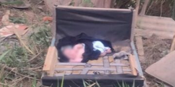 Recém-nascido é encontrado abandonado em lote vago de Sabará
