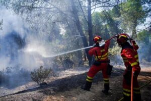 Incêndios florestais de grandes proporções atingem Espanha e França