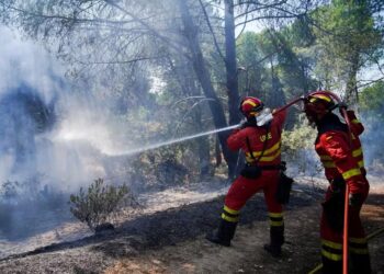 Incêndios florestais de grandes proporções atingem Espanha e França