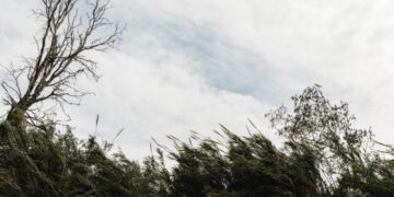 Inmet alerta para vendaval na Grande BH e em mais de 300 cidades de Minas Gerais