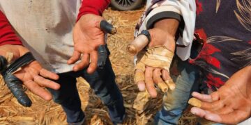 Minas Gerais lidera nova ‘lista suja’ do trabalho escravo no Brasil