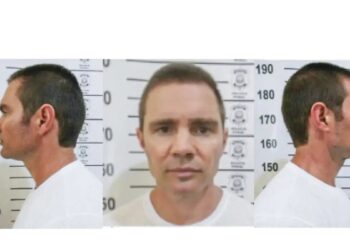 PF indicia Daniel Vorcaro e mais 14 por fraude bilionária no caso Banco Master